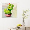 Toucan Cactus-Round Diamond-30x30CM