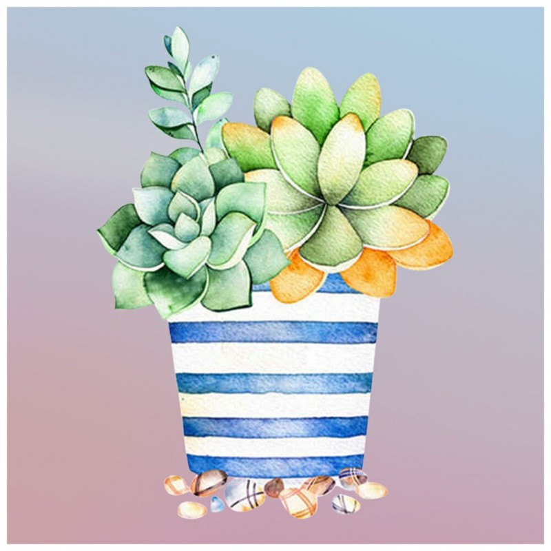 Succulent Plants-Rou...