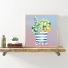 Succulent Plants-Round Diamond-30*30CM