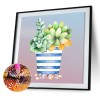 Succulent Plants-Round Diamond-30*30CM