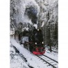 Train - Full Round Diamond - 30*40cm