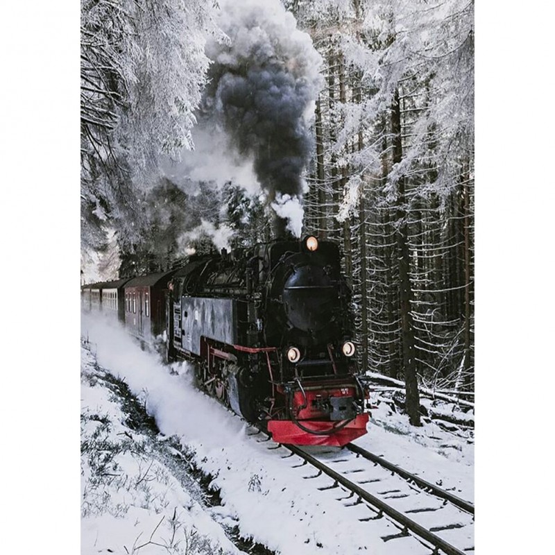 Train - Full Round D...