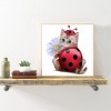 Cat-Round Diamond-30*30CM