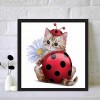 Cat-Round Diamond-30*30CM