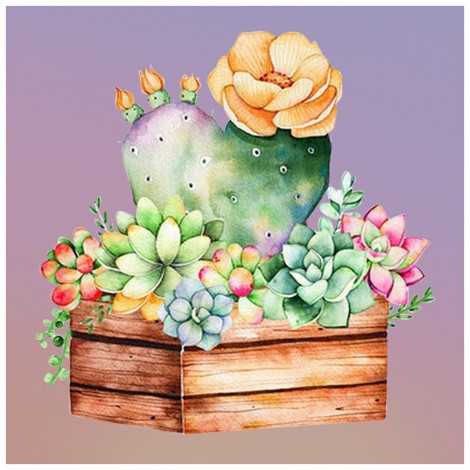 Succulent Plants-Round Diamond-30*30CM