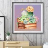 Succulent Plants-Round Diamond-30*30CM