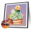 Succulent Plants-Round Diamond-30*30CM