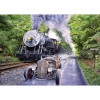 Train - Full Round Diamond - 40*30cm