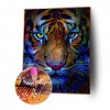 Splicing Tiger - Full Round Diamond - 30x40cm