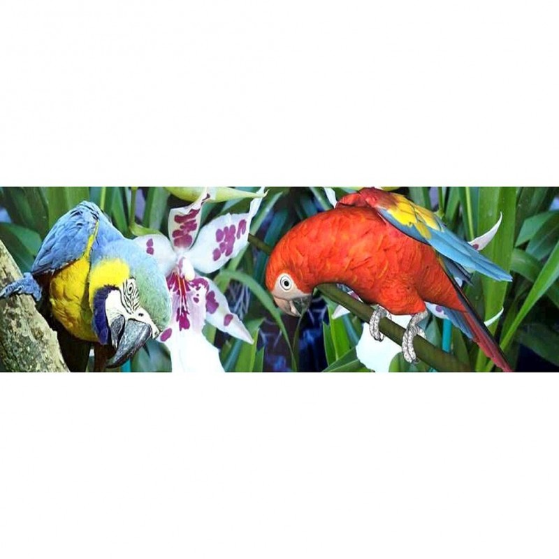 Two Bird  - Full Rou...