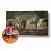 Animals Hanging Digitals - Full Round Diamond - 50x50cm