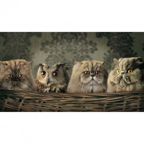 Animals Hanging Digitals - Full Round Diamond - 50x50cm