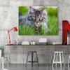 Cat - Full Round Diamond - 30x40cm