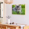 Cat - Full Round Diamond - 30x40cm