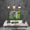 Cat - Full Round Diamond - 30x40cm