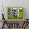 Cat - Full Round Diamond - 30x40cm