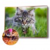 Cat - Full Round Diamond - 30x40cm