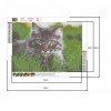 Cat - Full Round Diamond - 30x40cm