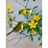 Chatting Bird - Full Diamond Painting - 40x30cm
