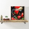 Flower Fruit  - Square Diamond - 40x40cm