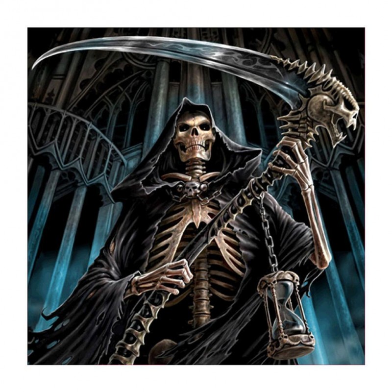 Skull - Partial Roun...