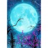 Moon  - Full Round Diamond - 30x40cm