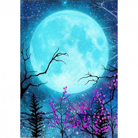 Moon  - Full Round Diamond - 30x40cm
