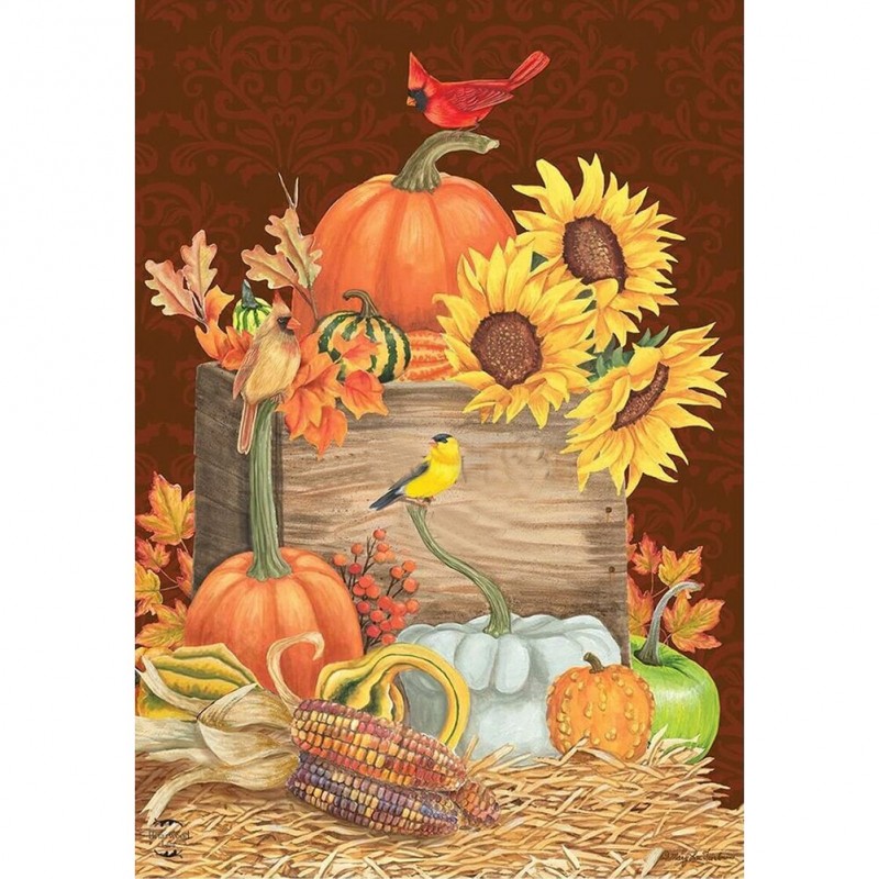 Pumpkin  - Full Roun...