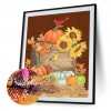 Pumpkin  - Full Round Diamond - 30x40cm