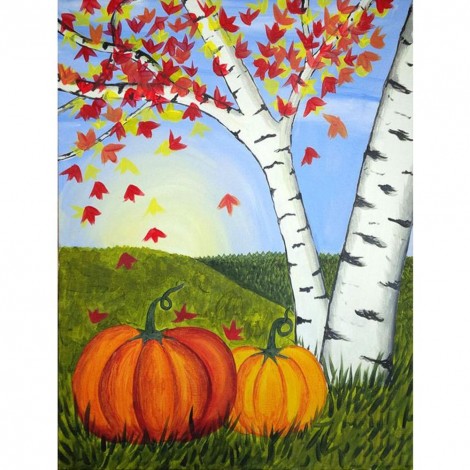 Pumpkin  - Full Round Diamond - 30x40cm