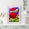 Apple Rose - Full Round Diamond - 30x40cm