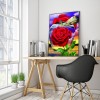 Apple Rose - Full Round Diamond - 30x40cm