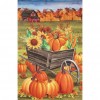 Pumpkin  - Full Round Diamond - 30x40cm