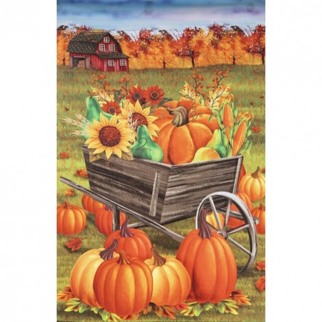 Pumpkin  - Full Round Diamond - 30x40cm