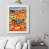 Pumpkin  - Full Round Diamond - 30x40cm