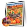 Pumpkin  - Full Round Diamond - 30x40cm