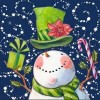 Bald Snowman - Full Round Diamond - 30*30cm