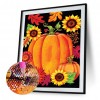 Pumpkin  - Full Round Diamond - 30x40cm
