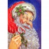 Santa Claus - Full Round Diamond - 30x40cm