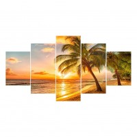 5pcs Coconut Tree - Full ...