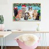 Christmas Cats - Full Round Diamond - 50x40cm