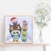 Owl and Penguin - Full Round Diamond - 30x30cm