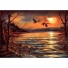 Sunset Bird Lake - Full Round Diamond - 40x30cm