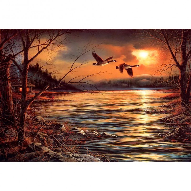 Sunset Bird Lake - F...