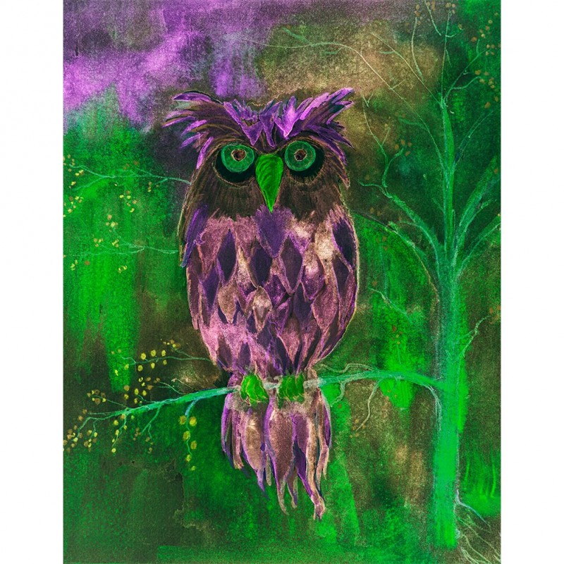 Colorful Owl Bird - ...