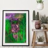 Colorful Owl Bird - Full Round Diamond - 30x40cm