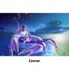 Constellation  - Full Round Diamond -