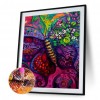 Butterfly - Square Diamond - 40x40cm