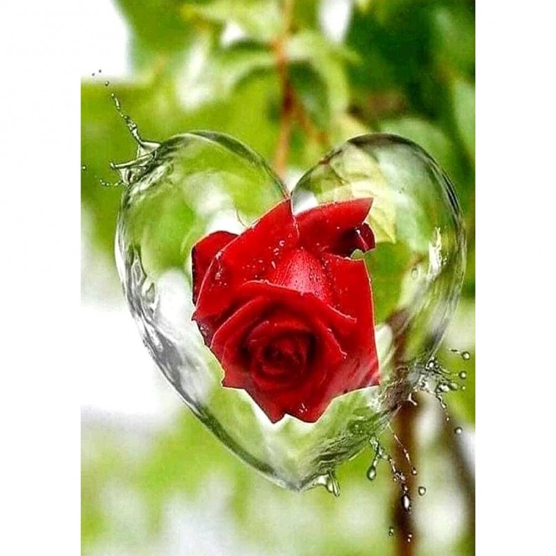 Love Rose - Full Rou...