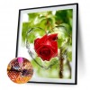 Love Rose - Full Round Diamond - 30x40cm